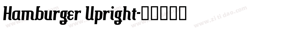 Hamburger Upright字体转换